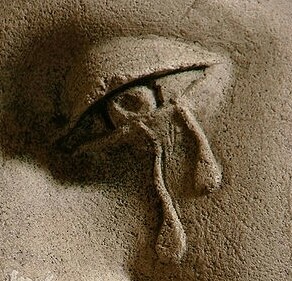 IMG_20130130_125401.jpg image