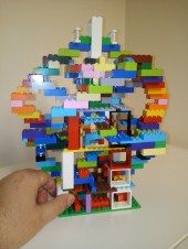 IMG_20191122_151838_2